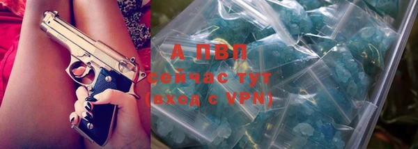 ECSTASY Вяземский