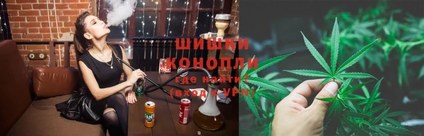 ECSTASY Вяземский