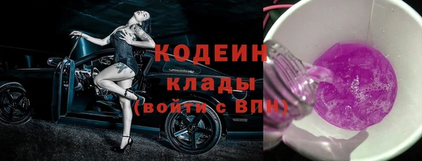 гашик Вязьма