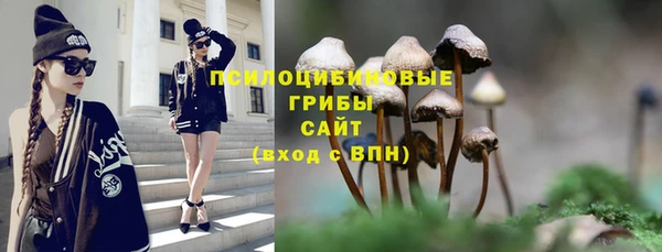 гашик Вязьма