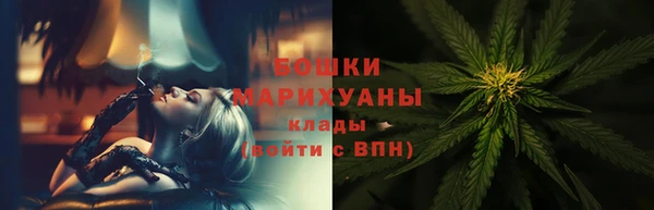 гашик Вязьма