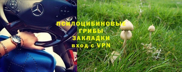 ECSTASY Вяземский