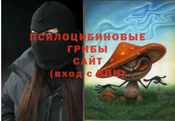 ECSTASY Вяземский