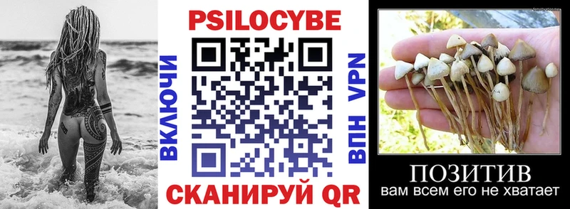 Псилоцибиновые грибы Cubensis ОМГ ОМГ ссылка Малмыж цена